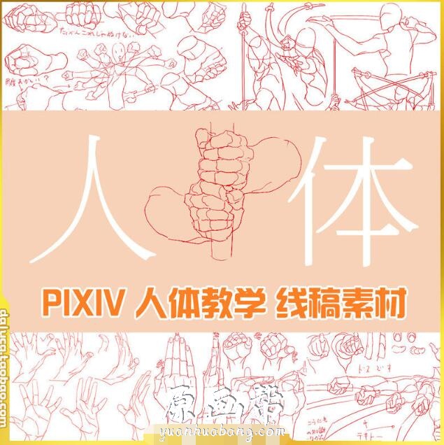 [原画线稿] PIXIV人体结构 动态姿态 插画原画临摹素材