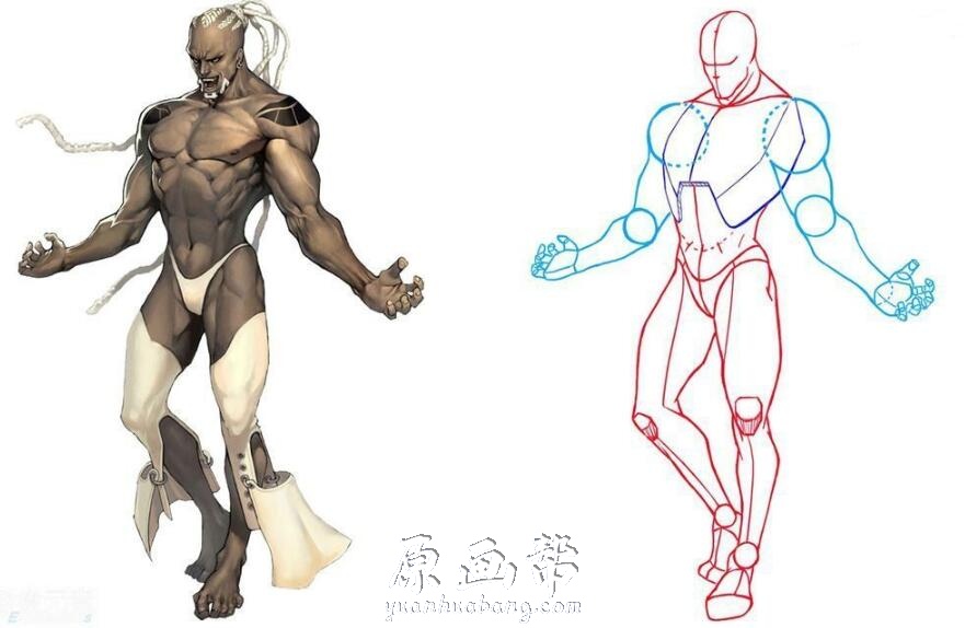 [设定画集] 超强漫画人体构成教学图与骨骼提炼50P