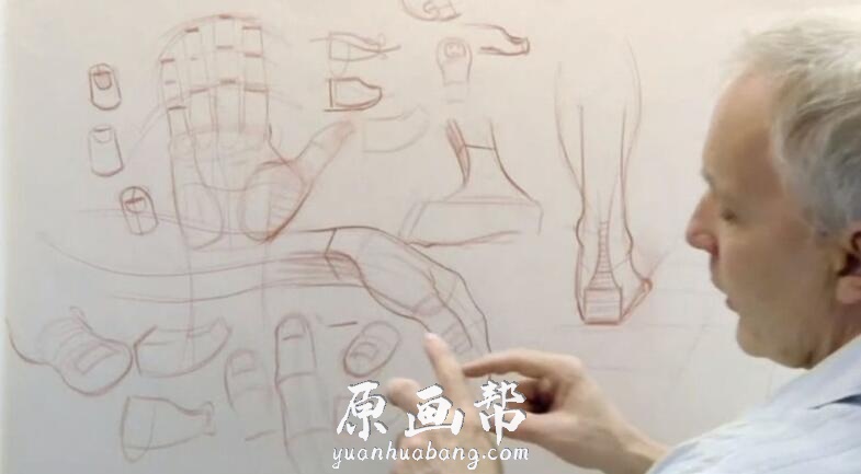 [美术基础] 人体结构绘画训练大师班视频教程