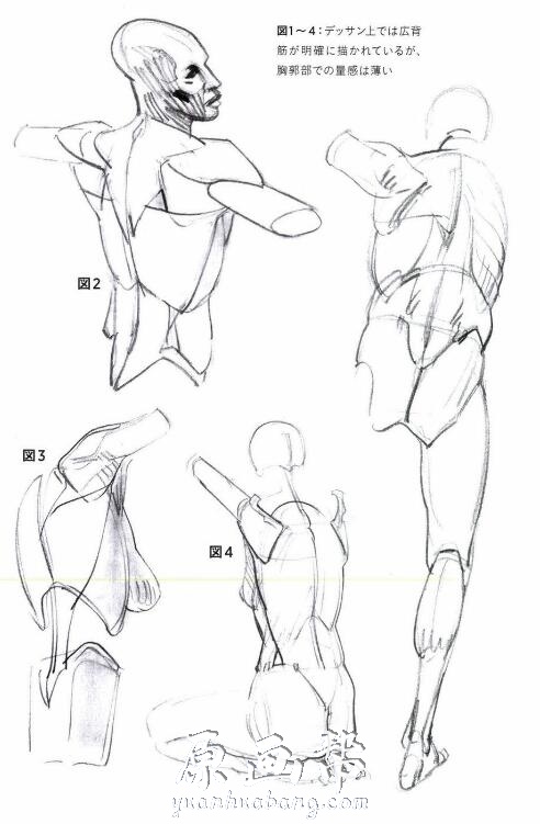 [书籍教程] 摩尔福人体素描系列-用体块与圆形的描绘表达方式